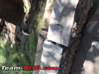 Home Construction / Makeover / Maintenance Thread-579888231c5440a59af38214263ced12.jpeg