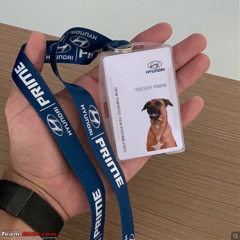 Hyundai dealership in Brazil adopts dog, makes him a sales dog-116426391_3403176816399242_3356699160583103456_o.jpg