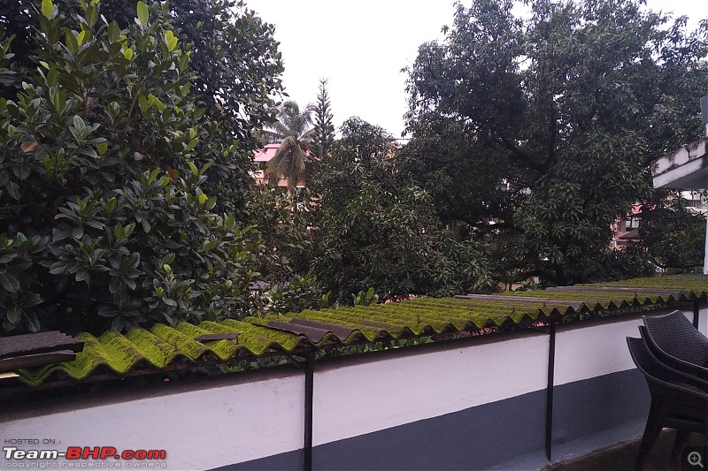 The view from your balcony / terrace-whatsapp-image-20210717-6.52.05-pm-1.jpeg