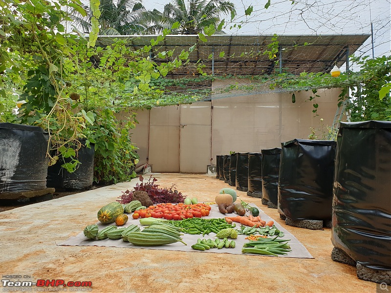 Solar Power for Irrigation and Electricity at Farm-20210109_115328.jpg