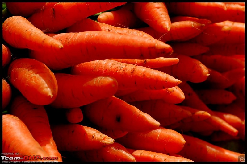 The Official Theme Photography Thread: Festival Spirit-carrots.jpg