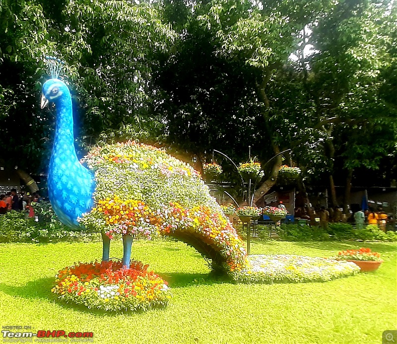 Lalbagh Flower Show - Bangalore-peacock.jpg