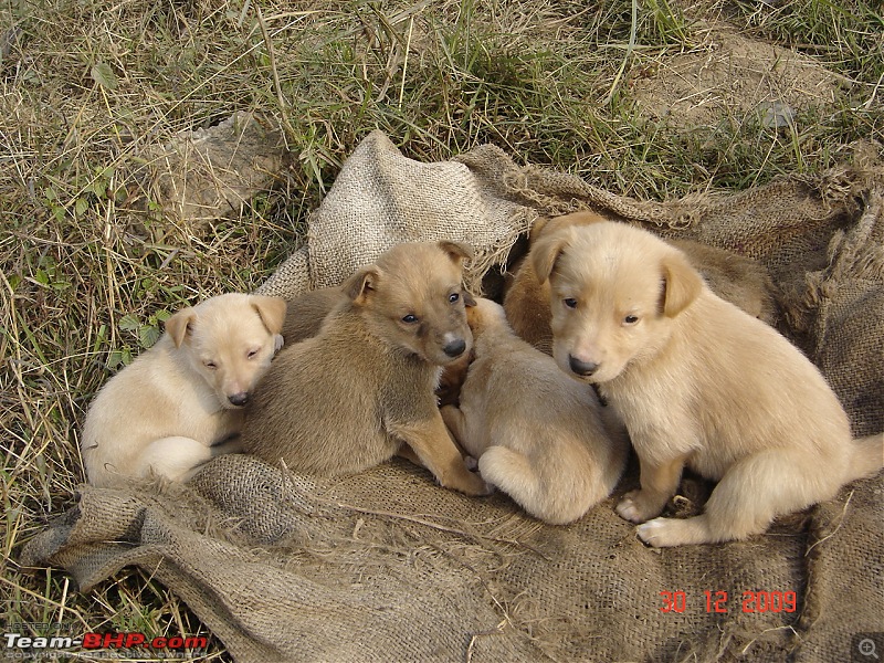 7 Cute guests@home-what to do?-dsc01842.jpg