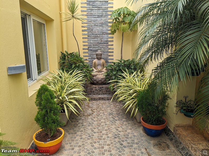 Pictures: My Home Garden-buddha.jpg