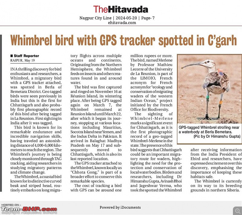 The Bird Lovers Thread-nagpur-city-line_20240520.jpeg