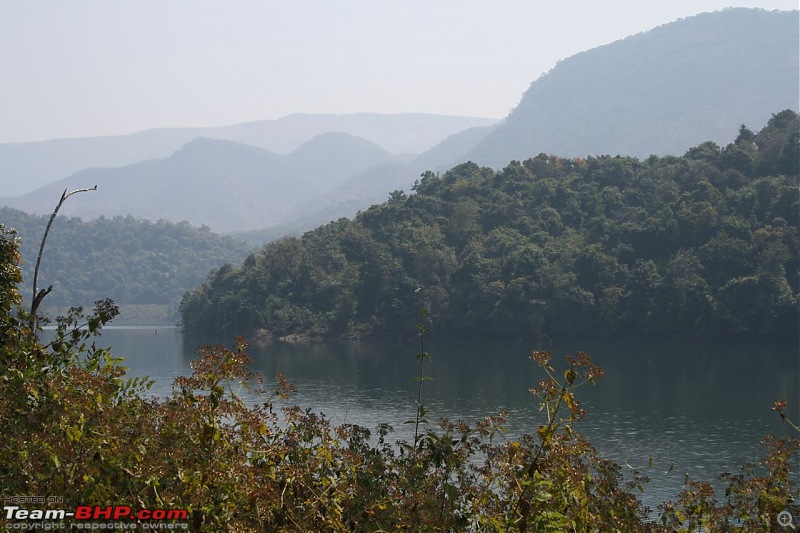 Please Help in Saving AP's Forests and Wildlife-img_0218.jpg