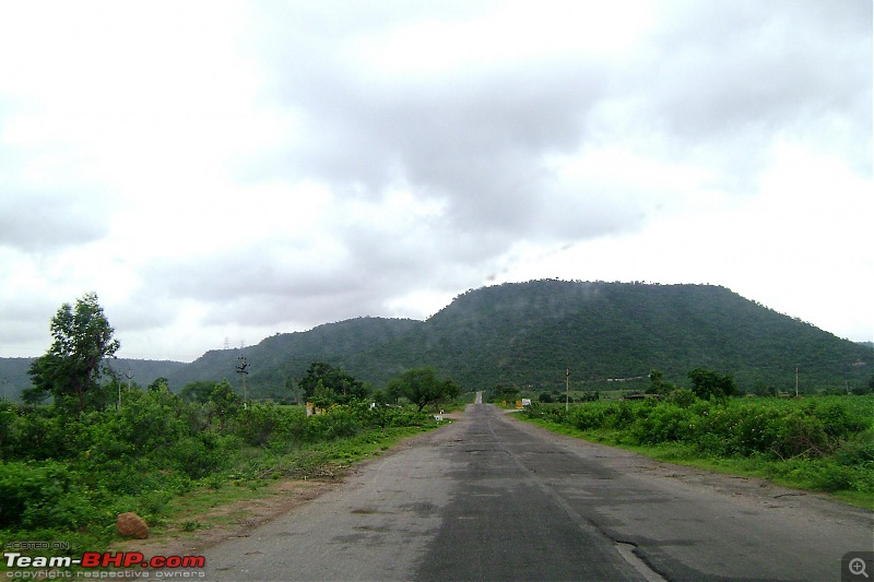 Please Help in Saving AP's Forests and Wildlife-dsc01832.jpg
