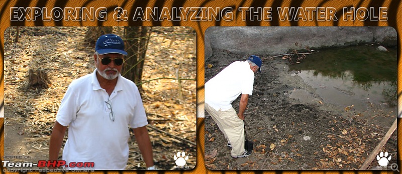 Please Help in Saving AP's Forests and Wildlife-forestfarooq.jpg