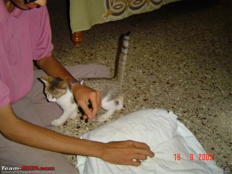 Team-BHPians and their Pets-dsc00156.jpg