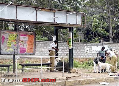 OLD THREAD : Reports of Serial Blasts in Bangalore.-nayandahalli2.jpg