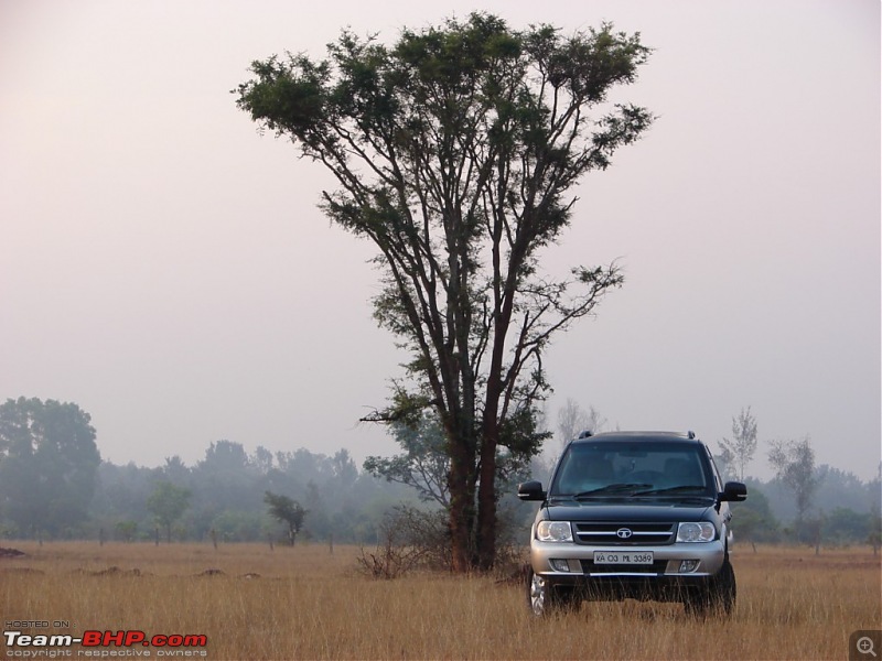 All Tata Safari Owners - Your SUV Pics here-2.jpg