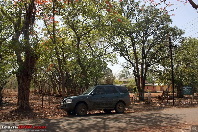 All Tata Safari Owners - Your SUV Pics here-img_8969.jpg
