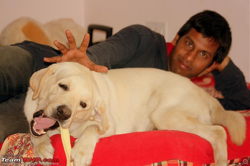 Team-BHPians and their Pets-img_4100.jpg