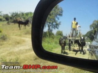 The View on your Rear-View (Pictures taken through your rear view mirrors)-wayanad-0431.jpg