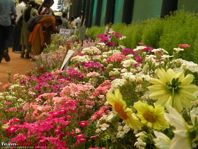 Lalbagh Flower Show - Bangalore-dscn0048.jpg