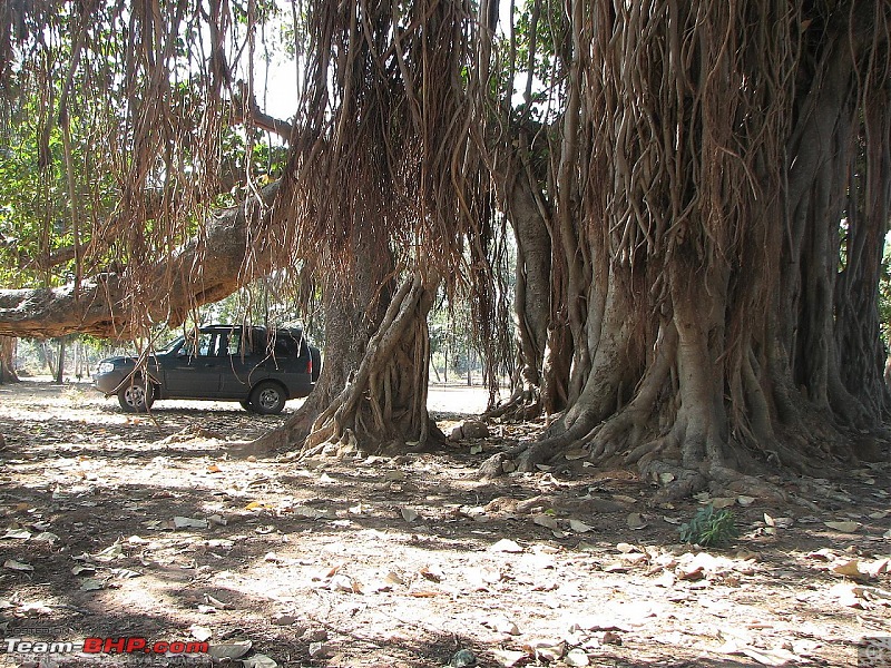 All Tata Safari Owners - Your SUV Pics here-img_8794.jpg