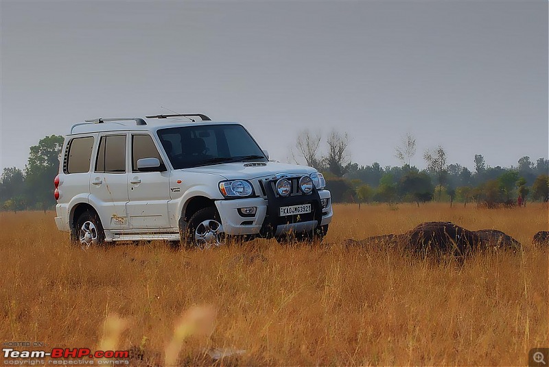 All T-BHP Scorpio Owners with Pics of their SUV-dsc_5880-medium.jpg