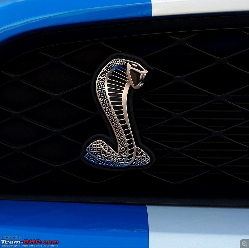 Snakes!-10shelbygt500_11_hr1280.jpg