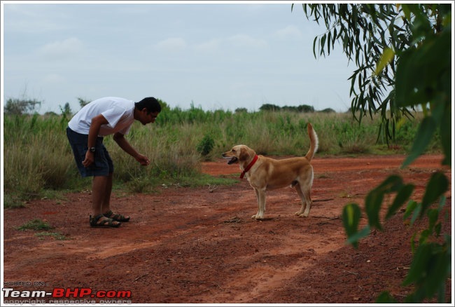 Team-BHPians and their Pets-dsc_0261.jpg