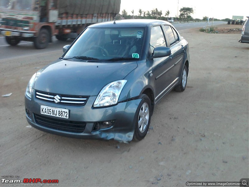 Car vs Animals - What to do?-photo0123optimized.jpg