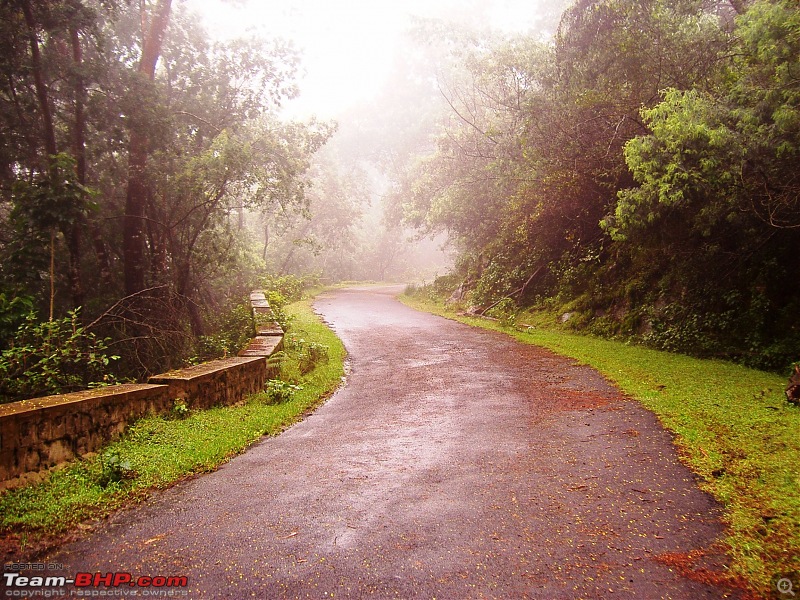 Loneliest Road Stretch in (South) India-berijam_pathway_small.jpg