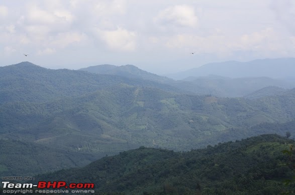 Loneliest Road Stretch in (South) India-img_2053.jpg