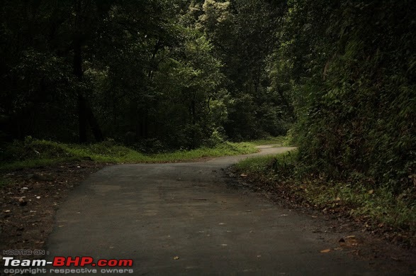 Loneliest Road Stretch in (South) India-img_2148.jpg