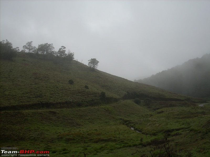 Loneliest Road Stretch in (South) India-dscn1624.jpg