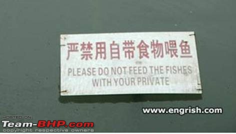 How do you stick a bell on a wall? Pics of Quirky signs, captions & boards-image1.jpg