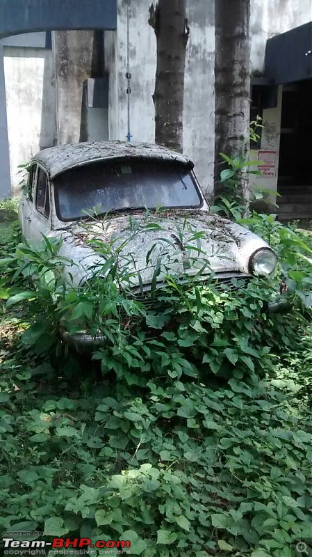 Newer Rotting Cars-1408343346293.jpg