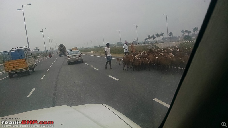 Traffic and life on the roads in Chennai-img_20141227_155936432.jpg