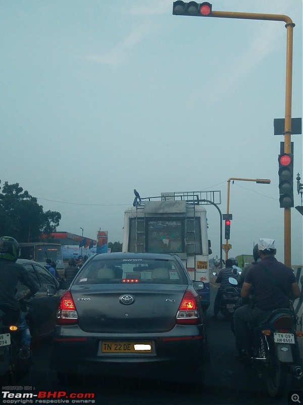 Unusual / funny / heartwarming experiences on the road-crow-waiting-signal.jpg