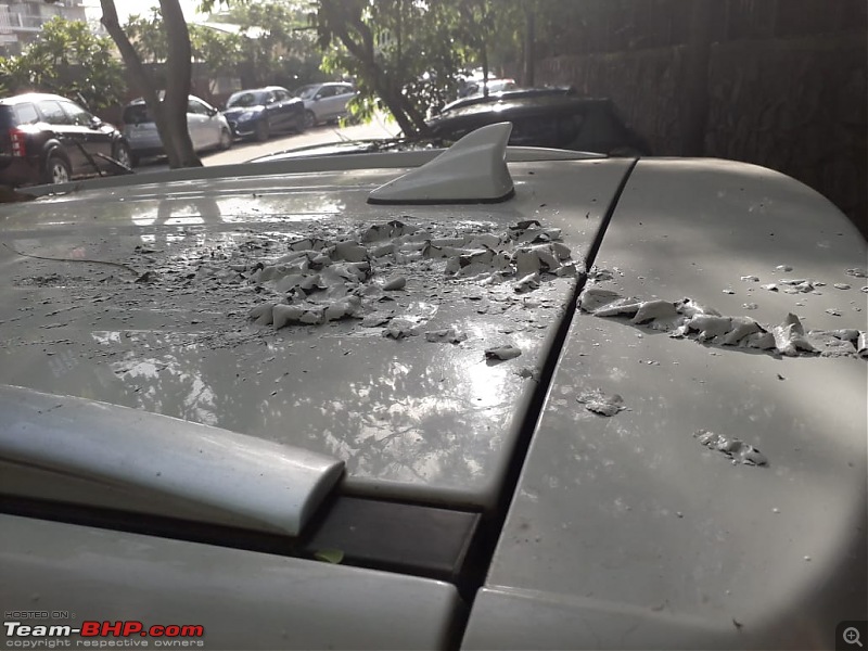Acid attack on cars parked at Vasant Kunj, Delhi-whatsapp-image-20190413-8.49.55-am.jpeg
