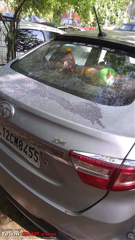 Acid attack on cars parked at Vasant Kunj, Delhi-whatsapp-image-20190413-8.44.57-am.jpeg
