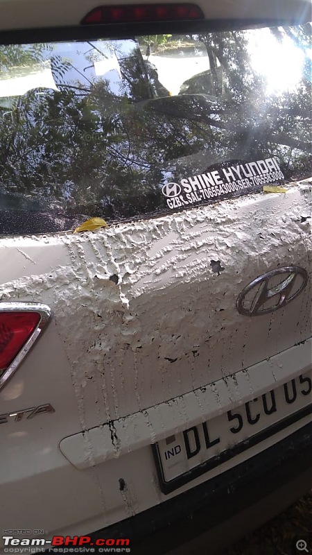 Acid attack on cars parked at Vasant Kunj, Delhi-whatsapp-image-20190413-8.43.01-am.jpeg