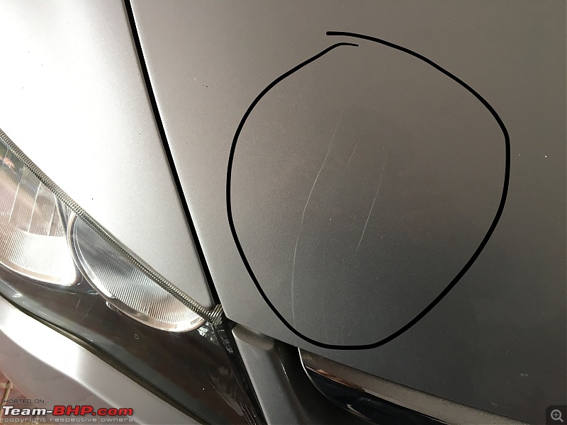 Dogs / Cats damage my car!-a8789ae124cb4cd9a3c4f08c0de22b5f.jpeg