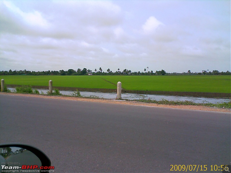 Phases of agriculture in Kuttanad-image_191.jpg