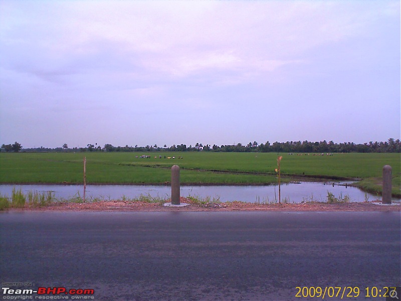 Phases of agriculture in Kuttanad-image_208.jpg