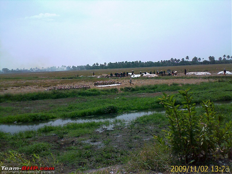 Phases of agriculture in Kuttanad-image_425.jpg