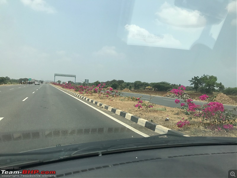 The Nightmare called Pune - Satara - Karad - Kolhapur Highway-bougainvillea-nh48.jpg