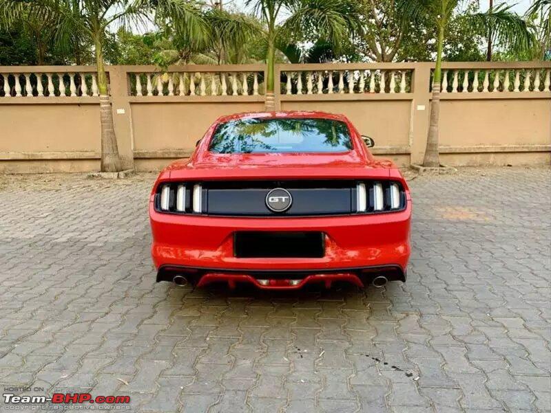 Name:  Mustang 3 1.jpg
Views: 6242
Size:  120.6 KB