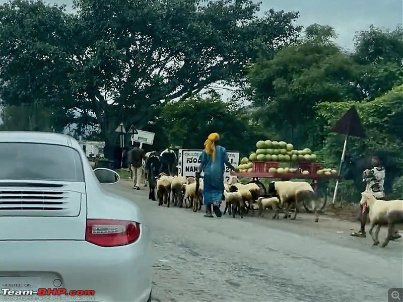 Vroom for real - My used Porsche 911 (997.2)-sheep.jpeg