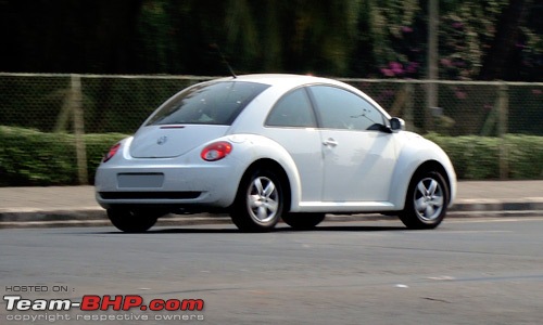 Pics : Beetle and X5 4.4i Spotted-beetle.jpg