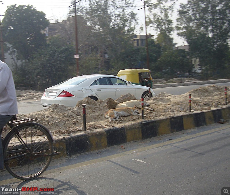 Supercars & Imports : Delhi NCR-dsc04436.jpg