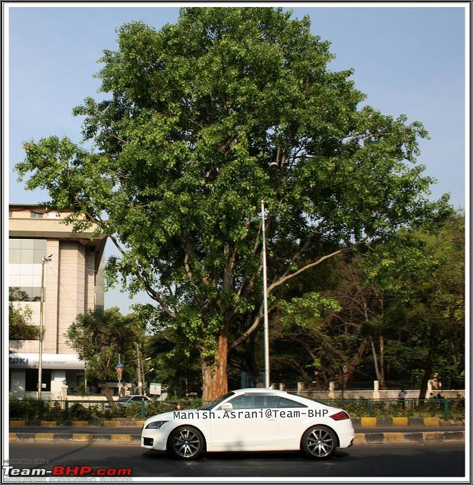 Supercars & Imports : Bangalore-img_5104.jpg