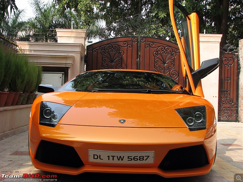 My LP640 - "The eagle has landed, (or in this case, the bull)"-img_2400.jpg