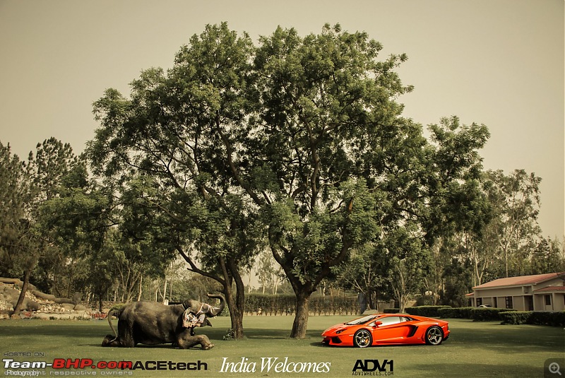 Lamborghini Aventador LP700-4 in India!-325752_394603023938070_1001150578_o.jpg