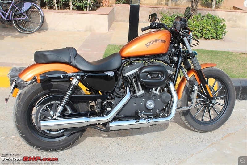 Harley Davidson Iron 883 - Beauty in the Beast-img_2232.jpg