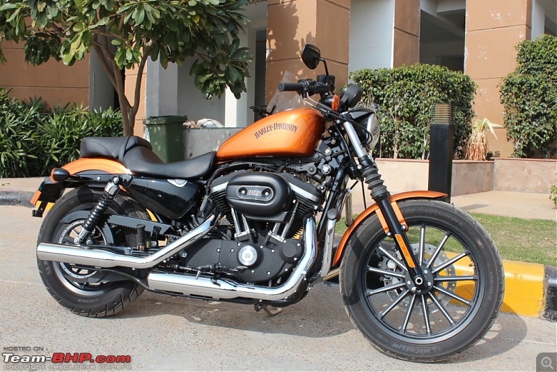 Harley Davidson Iron 883 - Beauty in the Beast-img_2234.jpg