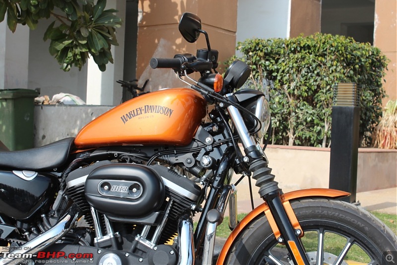 Harley Davidson Iron 883 - Beauty in the Beast-img_2236.jpg